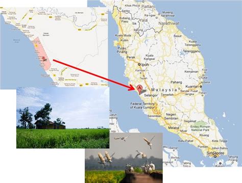 Ketua umno bahagian sungai besar,dato' seri jamal md yunos merasmikan hotel miliknya,sekin fisherman village hotel & resort di sekinchan.acara perasmian itu. SEKIN FISHERMAN VILLAGE HOTEL & RESORT SEKINCHAN SELANGOR