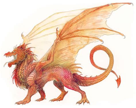 Welsh Monsters And Mythical Beasts Watercolor Artwork Collette J Ellis