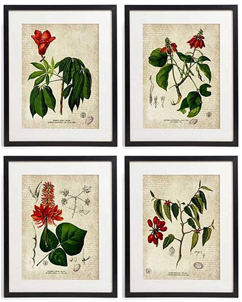 Idiopix Vintage Botanical Floral Print Art Home Wall Art Print No9 Set