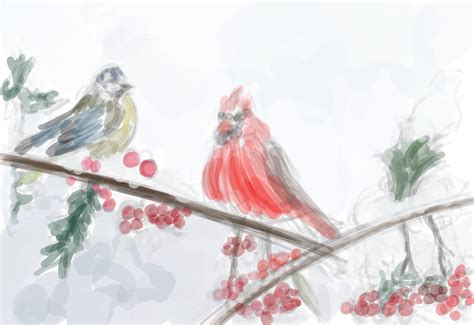Winter Snowbirds Illustration On Behance