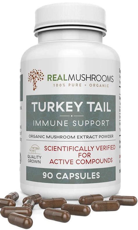buy turkey tail extract 90 caps real mushrooms immune support uk shop