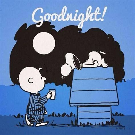Good Night Snoopy And Charlie Brown Quote Pictures Photos And Images