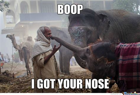 Funny Elephant Meme