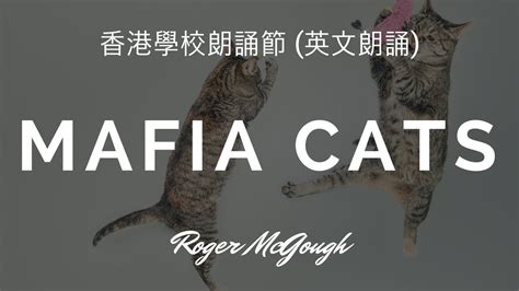 Mafia Cats By Roger Mcgough Youtube