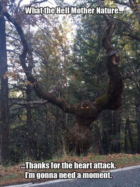 15 Funniest Mother Nature Memes On The Internet Right Now Consciously Inspired