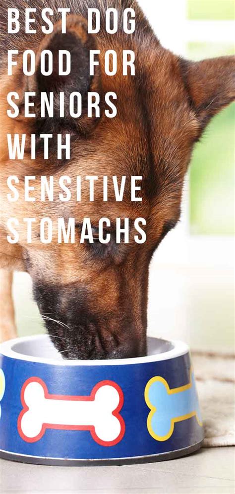 Typically, dogs 7 years old and older are considered senior, but your dog's breed also plays a role in the classification. Best Dog Food for Senior Dogs with Sensitive Stomachs