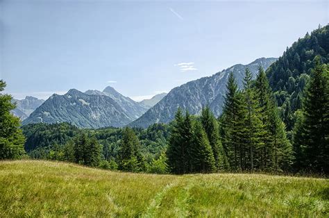 Allgäu Oberstdorf Mountains Forest Trees Bavaria Summer Pasture