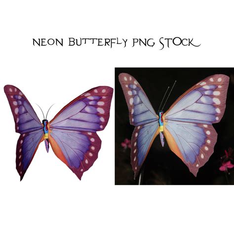 Neon Butterfly Png Stock1 By Karahrobinson Art On Deviantart