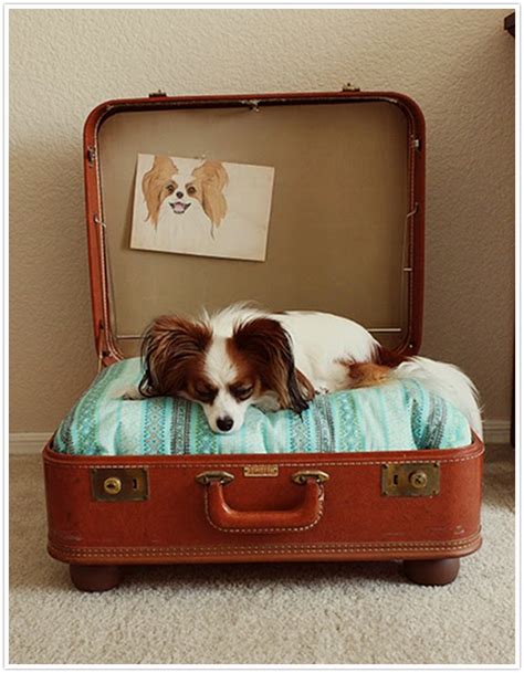Diy Suitcase Pet Beds Sticky Bee