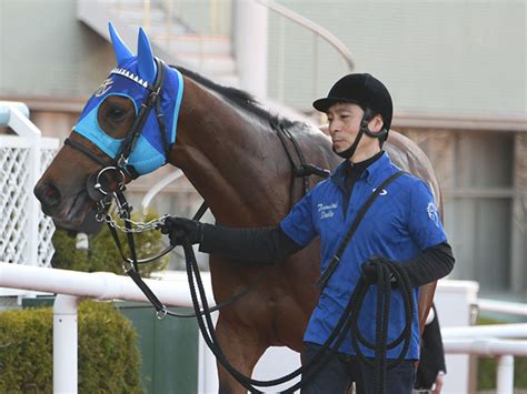 大阪杯 2021 過去10年 配当一覧です 中波乱が多いレースになっていますね レース傾向を見てみると 極端な追込馬は 届かなそうです pic.twitter.com/liadjygdhg. 【大阪杯】アドマイヤビルゴは岩田望来騎手と新コンビ、武豊 ...