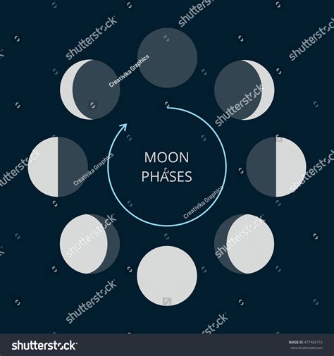 Moon Phases Icons Astronomy Lunar Symbols Stock Vector Royalty Free