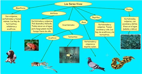 Los Seres Vivos E Inertes