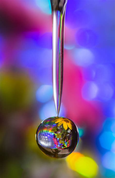 40 Awesome Examples Of Water Drop Photography Graphic Design Junction