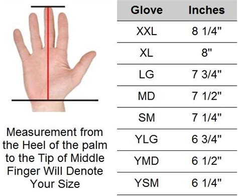 Maybe you would like to learn more about one of these? Baseball Equipment Sizes
