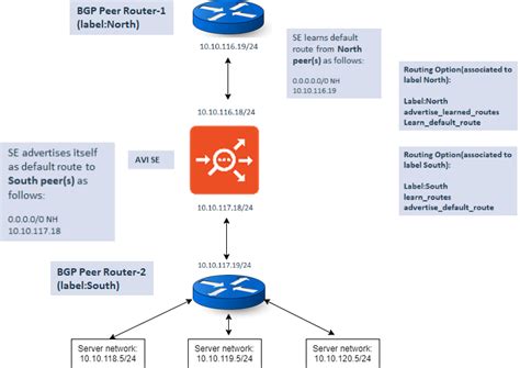 BGP Learning and Advertisement Support
