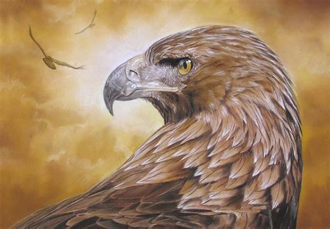 Eagle Eyed Prophetic Artists