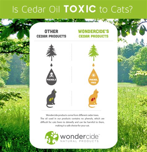 It's also important to remember that each pet can react differently to certain essential oils how do you apply essential oils to dogs and cats? Is the Cedar Oil in Natural Flea Treatment Toxic to Cats ...