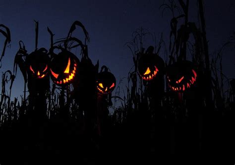 Evil Scarecrows Corn Field Pumpkin Heads Scaresrows Night Hd