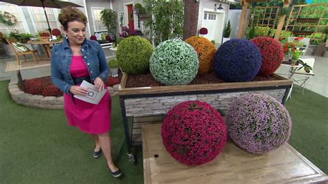 Faux finds to welcome the new season. Wicker Park 19" Faux Floral Oversized Garden Sphere on QVC ...