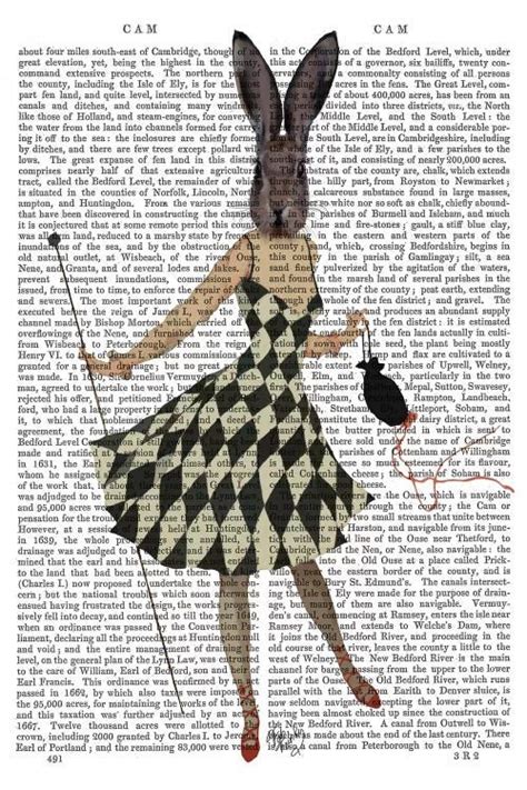 Rabbit In Black And White Checkered Dress Canvas Art Print Fab Funky