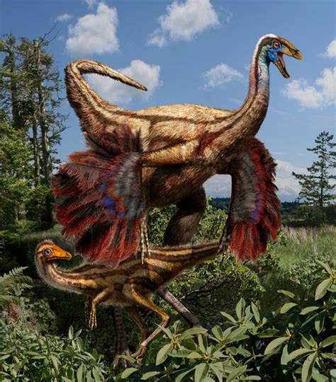 Орнитомим Ornithomimus Дромицейомим Dromiceiomimus Динозавры