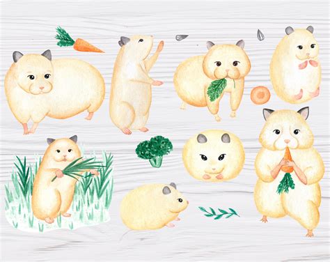 Watercolor Hamster Clipart Cute Animal Print Instant Etsy Uk