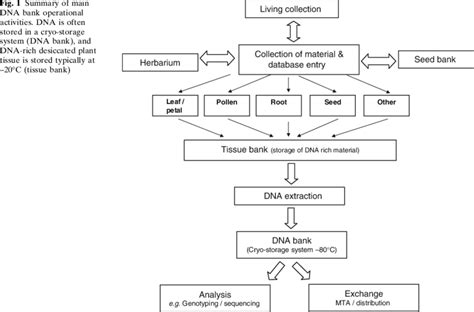You are not connected to the internet. Summary of main DNA bank operational activities. DNA is ...