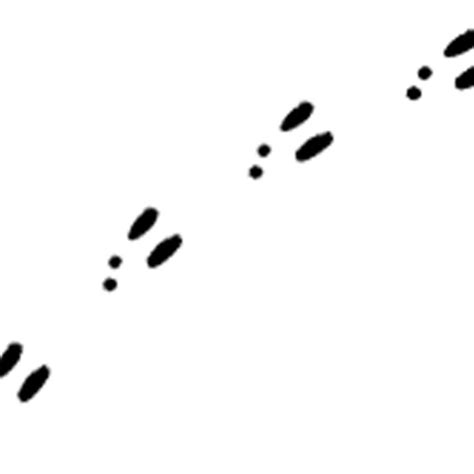 Download bunny tracks clipart 10 free Cliparts | Download images on ...