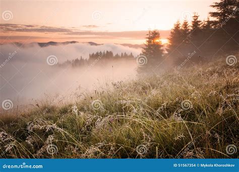 Foggy Mountain Morning Stock Photo Image Of Tree Morning 51567354