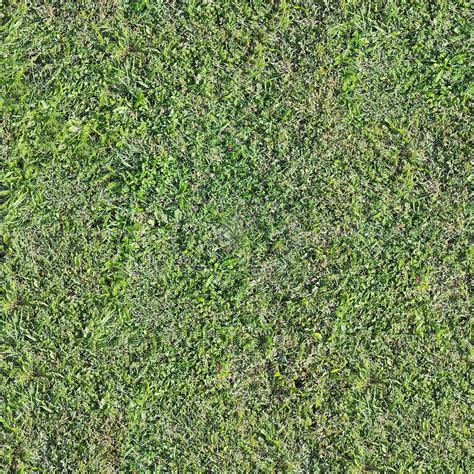 Green Grass Pbr Texture Seamless 22094