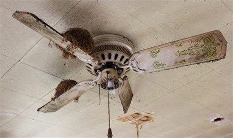 It may be in disrepair and there is a legal process to follow before claiming a possibly abandoned house. Birds form nests on a ceiling fan in an old abandoned ...