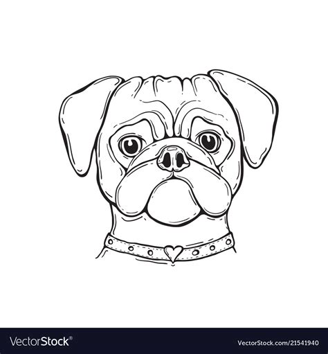 Here presented 52+ pug dog drawing images for free to download, print or share. Cool Realistic Pug Line Drawing | Art Gallery