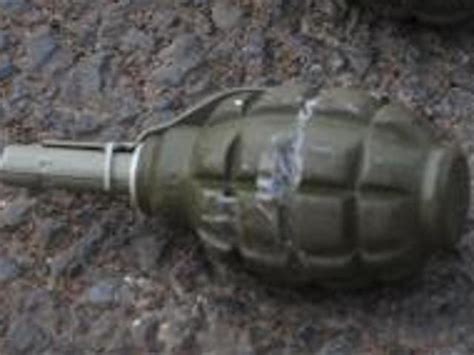 Live Hand Grenade Found In Paddy Field In Moga Hindustan Times