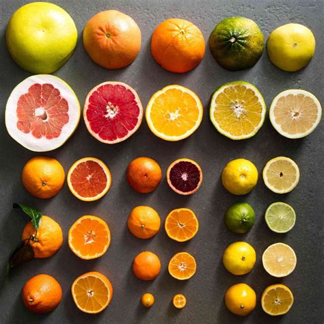 Know Your Citrus A Field Guide To Oranges Lemons Limes And Beyond