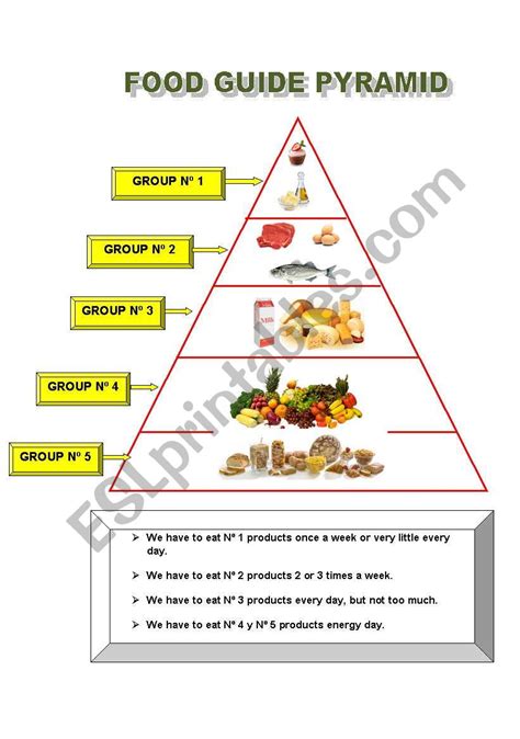 Food Chain Blank Worksheet