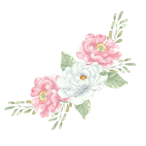 Pink Flower Arrangement Png Picture White And Pink Rose Watercolor
