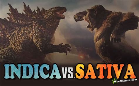 In a time when monsters walk the earth, humanity's fight for its future sets godzilla and kong on a collision course that will see the two most powerful forces of. Movie Poster Spoof Weed Memes - Weed Memes