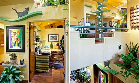 Pero los gatos tienen nueve vidas ¿no? La casa ideal para gatos está llena de rampas, túneles y ...
