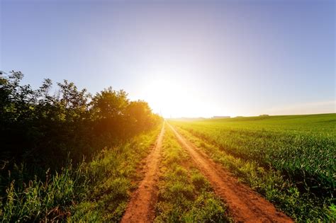 Campo Verde Y Hermosa Puesta De Sol Foto Premium