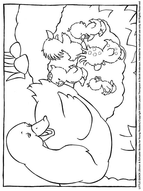 Print and color spring pdf coloring books from primarygames. Nest Coloring Page - Coloring Home