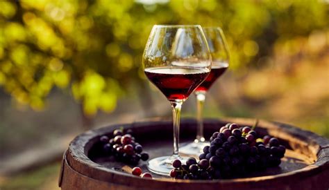 What Is A Super Tuscan Wine Learn About The Unique History Of This