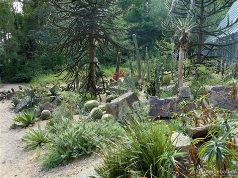 Der botanische garten ist kostenfrei und bieten einfach zum lustwandeln schöne wege, aber auch für pflanzen interessierte hat er sehr viel zu bieten, da es unzählige pflanzen gibt die man sonst un unseren breitengraden nicht finden kann und alle sind. Botanischer Garten der Ruhr-Uni Bochum | Fotos 2016 (1)