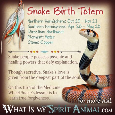 Snake Totem Native American Zodiac Signs And Birth Signs Native
