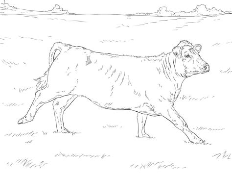 Realistic Cow Coloring Page Free Printable Coloring Pages For Kids