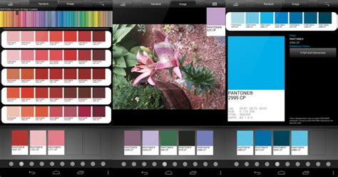 The 8 Best Colors Apps Of 2024