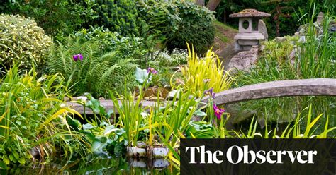 To Rethink Your Garden Learn Japanese Gardening Advice Terrades Delmoli