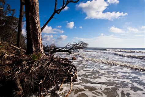 Hunting island state park cabins. Lincoln's Domain: Hunting Island State Park near Beaufort, SC