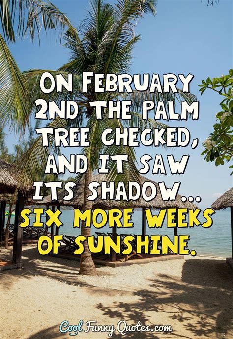 Top 145 Palm Tree Captions Funny