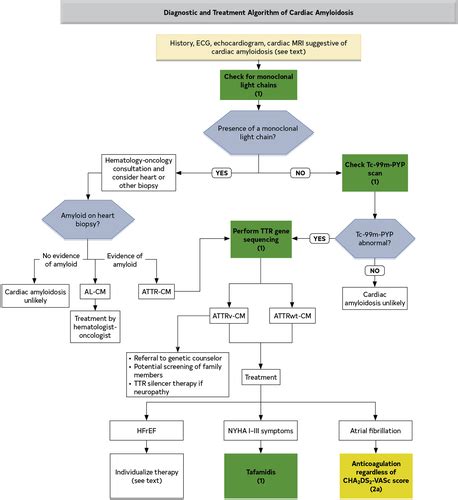 2022 Ahaacchfsa Guideline For The Management Of Heart Failure