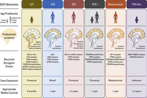 Genetics Of Common Pediatric Brain Tumors Pediatric Neurology